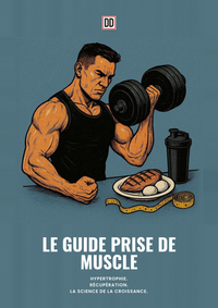Le Guide de Prise de Muscle